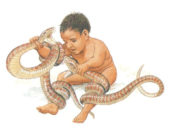 Il piccolo Ercole strangola facilmente i serpenti inviati da Era per ucciderlo. Peter Connolly