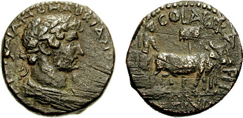 La prima moneta emessa dalla Zecca di Aelia Capitolina intorno al 130/132 d.C. Rovescio: Colonia Ael[ia] CAPIT[OLINA] COND[ITA] (