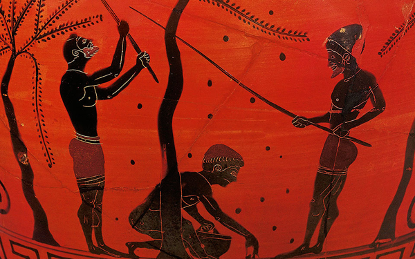 La raccolta delle olive con lunghi bastoncini, una tecnica che si vede ancora oggi. Anfora attica a figure nere, 520 a.C. (British Museum).
