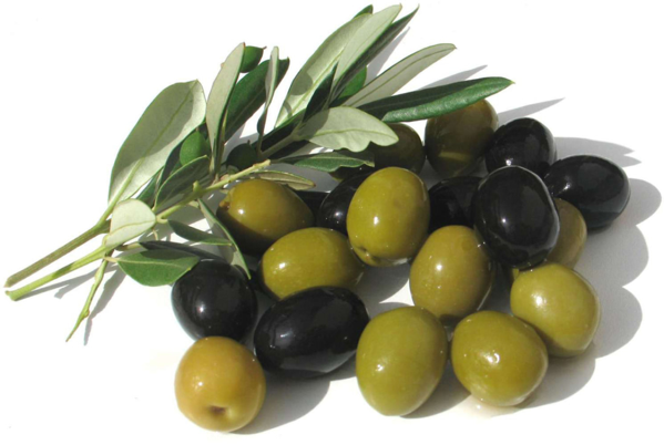 Le olive e l'olio di oliva erano un ingrediente indispensabile della dieta greca