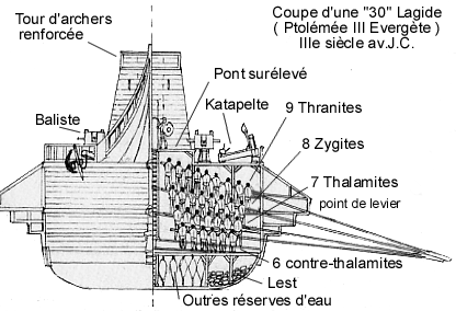 Rappresentazione della posizione e dell'angolazione dei rematori in una trireme. È ben visibile la forma della parexeiresia, sporgente dal ponte.